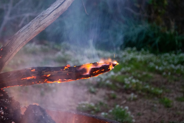 Feu de nuit flammes charbons feu de joie