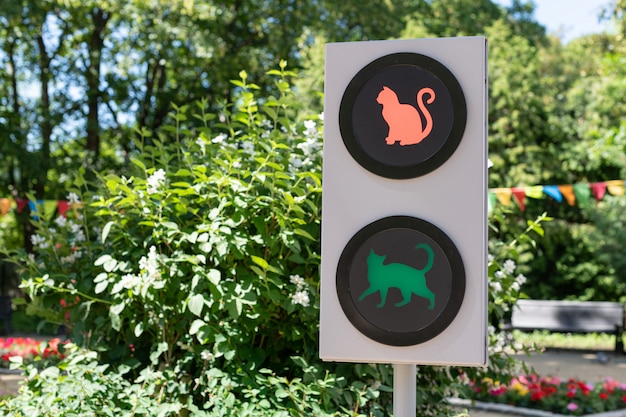 Photo feu de signalisation avec des chats. concept de feux de signalisation drôle pour les enfants et les parents dans le jardin de la ville