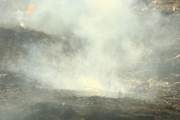 feu sur le terrain / feu dans l'herbe sèche, paille brûlante, élément, paysage naturel, vent