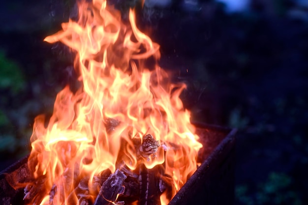 Feu vif dans le chargrill Gros plan Brûler du bois de chauffage dans le chargrill Flamme forte Concept de pique-nique en plein air