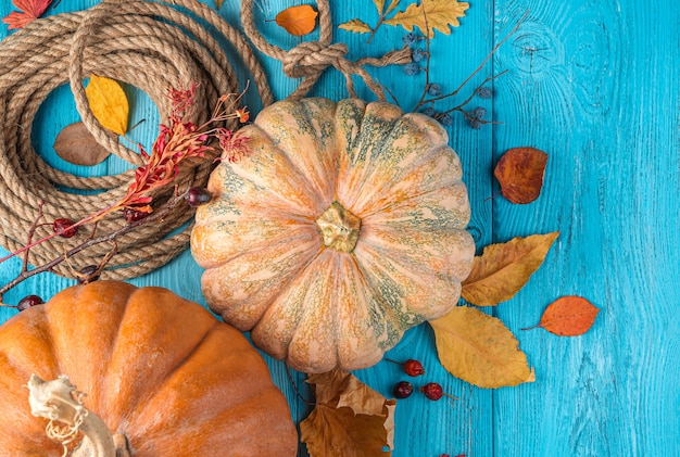 Feuillage d'automne de citrouilles et baies sur fond bleu Espace copie vue de dessus