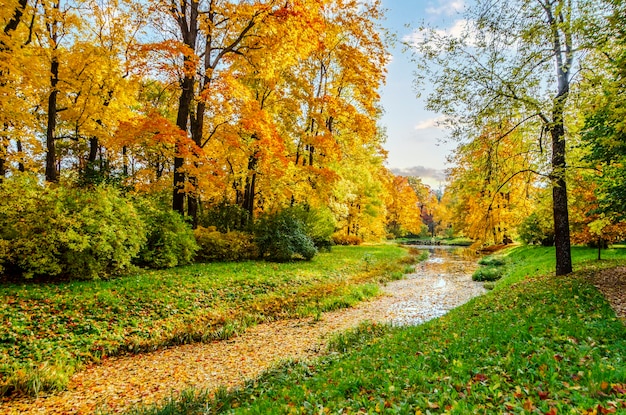 Feuillage de l'automne dans le parc Alexander Tsarskoïe Selo Pouchkine Saint-Pétersbourg Russie