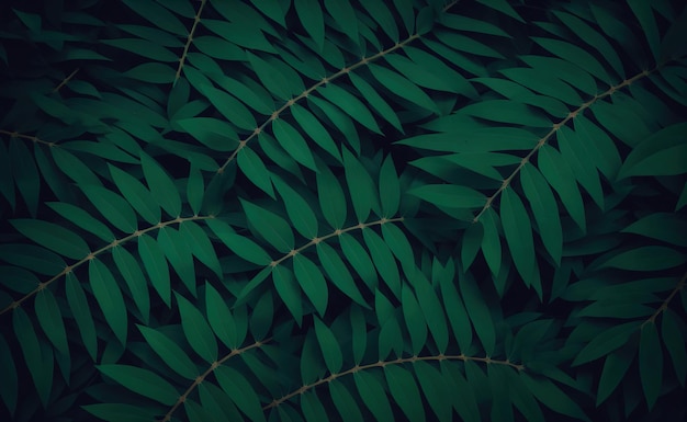 Feuillage vert feuilles tropicales texture motif