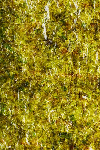 Une feuille d'algues Nori vert foncé en pleine vue