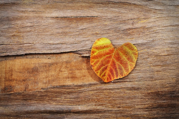 Feuille d'automne comme un coeur sur fond de bois