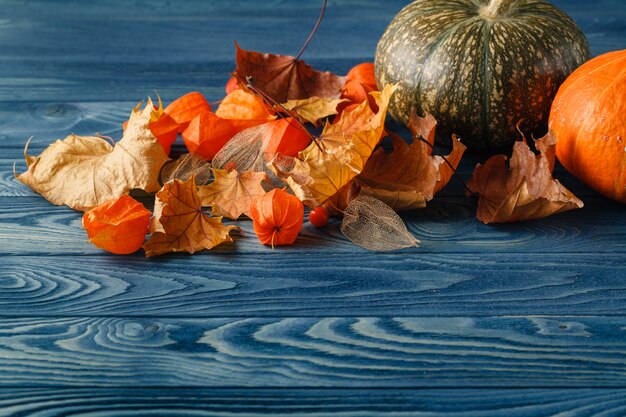 Feuille d'automne sur fond en bois bleu