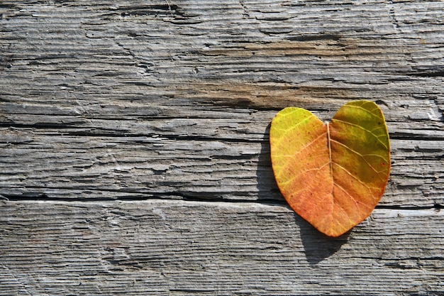 Feuille d'automne sur fond texturé en bois