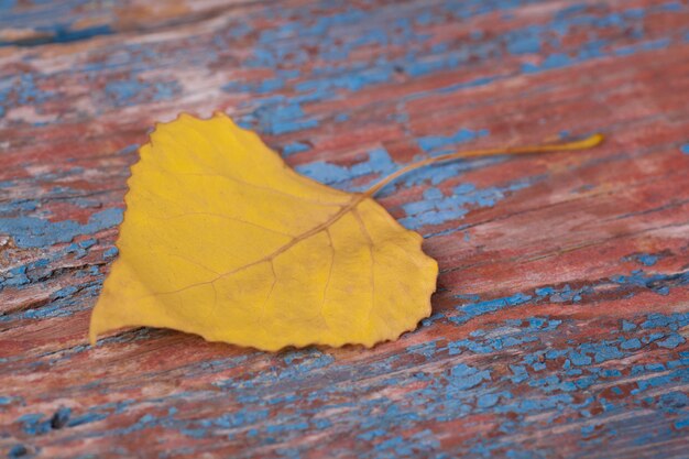 Feuille d&#39;automne jaune sur fond en bois