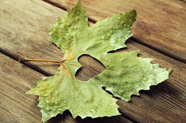 Photo feuille d'automne séchée avec coeur découpé sur fond de bois