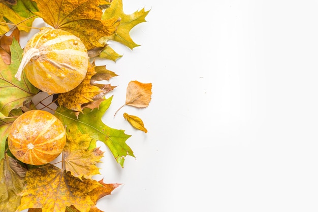 Feuille d'automne simple flatlay feuilles séchées d'automne colorées et citrouilles sur fond blanc vue de dessus bordure de cadre composition créative d'automne