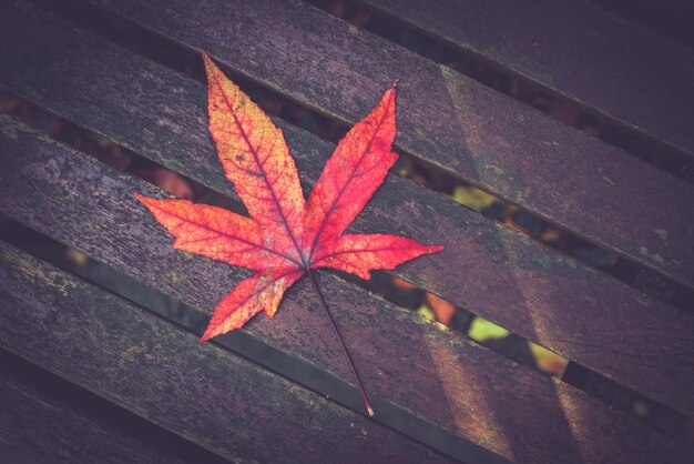 Feuille d'automne sur une table en bois