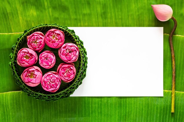 La feuille de banane Krathong décore avec des fleurs de lotus roses pour la Thaïlande La pleine lune ou le festival de Loy Krathong avec de l'espace pour le texte
