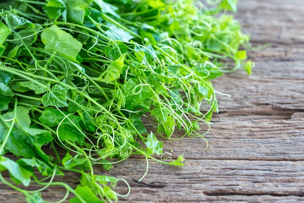 Feuille de basilic vert frais sur fond de table en bois. Concept alimentaire