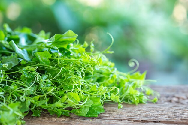 Feuille de basilic vert frais sur fond de table en bois. Concept alimentaire