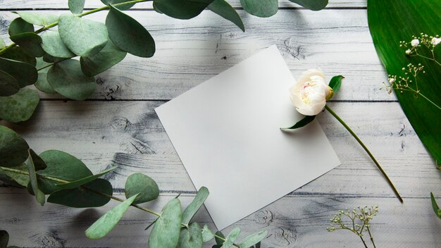 feuille blanche vierge avec place pour le texte sur un fond clair avec des feuilles de plantes, des fleurs et des brins d'eucalyptus vue d'en haut