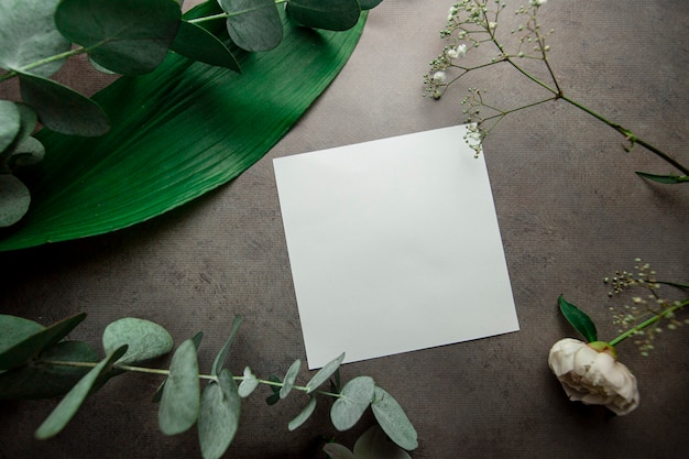 feuille blanche vierge avec place pour le texte sur fond gris avec des feuilles de plantes et des brins d'eucalyptus