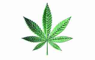 Photo feuille de cannabis isolé sur fond blanc. rendu 3d