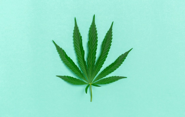 Feuille de Cannabis