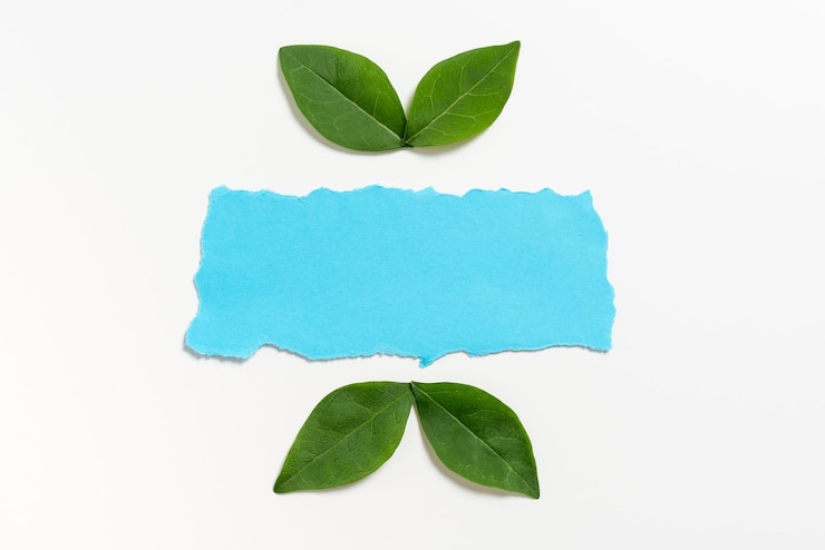 Photo feuille de carton vide disposée avec des feuilles fraîches pour la bannière créative papier de couleur vierge et botanique pour la mise en page pour la publicité commerciale et la promotion de la marque