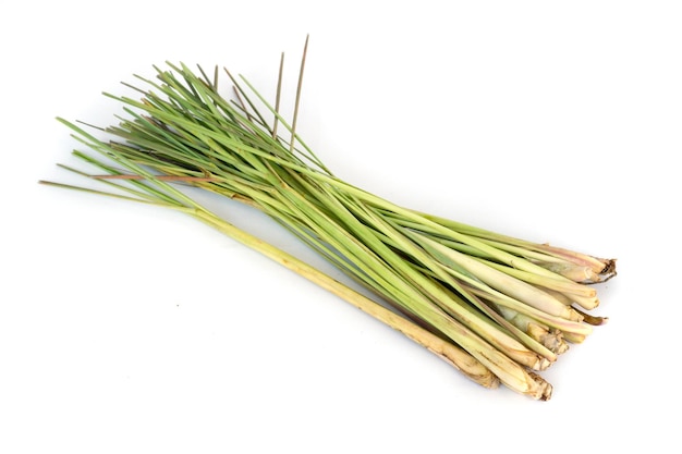 Feuille de citronnelle fraîche isolé sur fond blanc