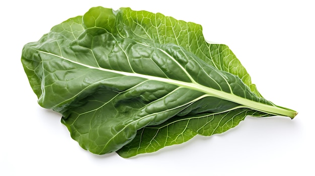 Feuille de collard sur fond blanc