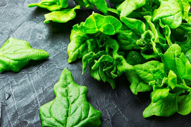 Feuille d'épinards vert sur fond bleu ardoise