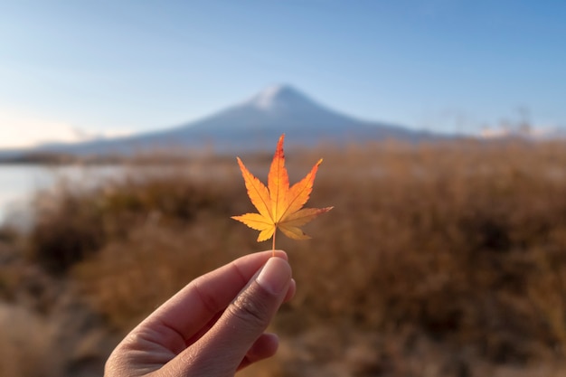 Une feuille d&#39;érable coloré dans la main de la femme avec fond de montagne Fuji.