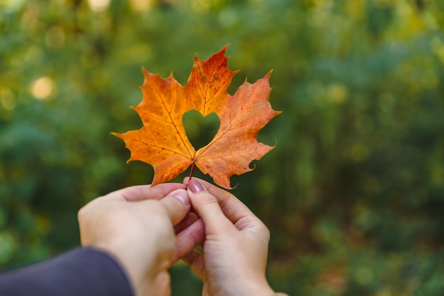 Feuille d'érable jaune à la main avec coeur au milieu