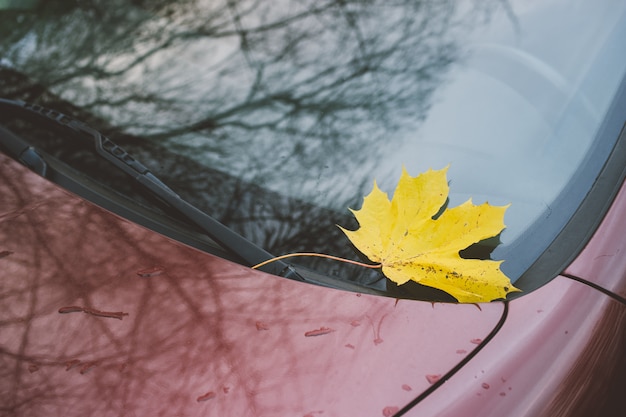 Feuille d'érable jaune tombée sur le pare-brise de la voiture