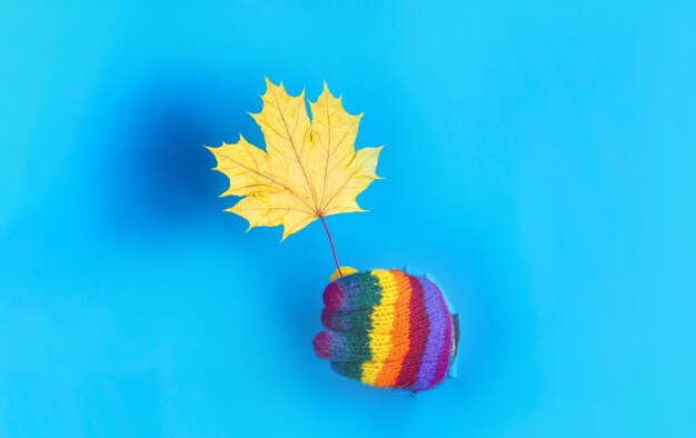 Feuille d'érable jaune à travers le papier humeur d'automne temps d'automne homme dans des gants colorés tenir la feuille d'érable