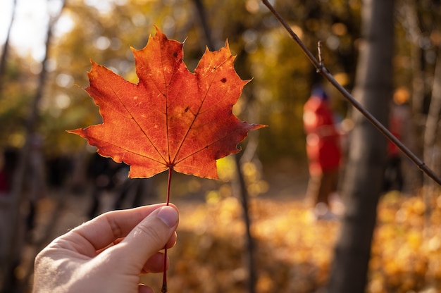 Feuille d'érable tenant à la main sur fond jaune et orange vif d'automne