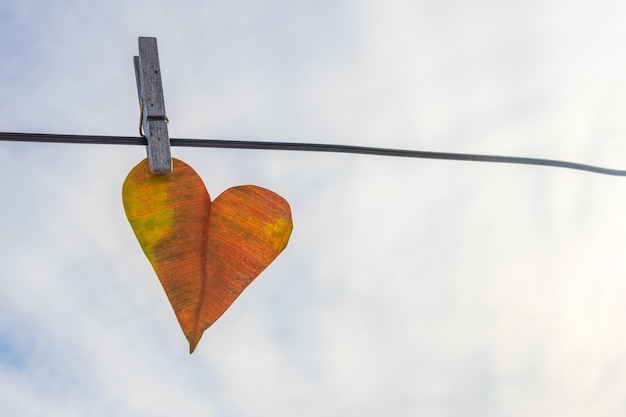 Une feuille en forme de coeur jaune suspendue à une pince à linge