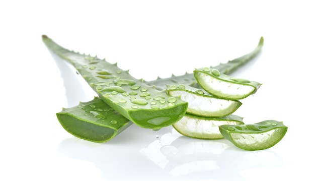 Feuille fraîche d'aloe vera isolé sur mur blanc