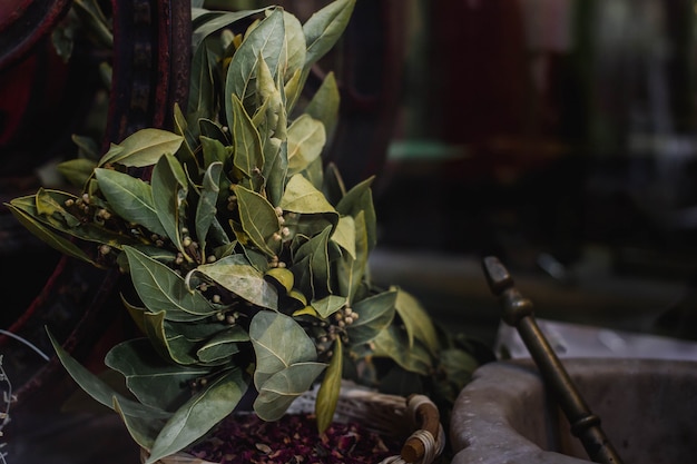 Feuille d'herbes de laurier avec un mortier, condiment aromatique