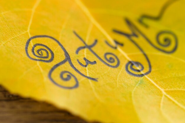 Feuille jaune avec l'inscription AUTOMNE sur le vieux fond en bois avec des fissures