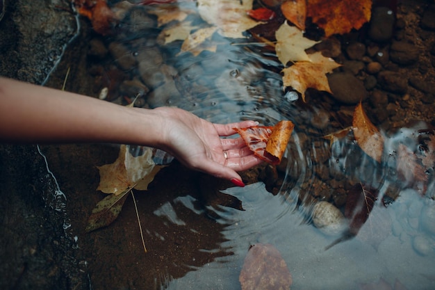 Feuille jaune à la main sur l'eau avec fond de feuilles. Notion d'automne.