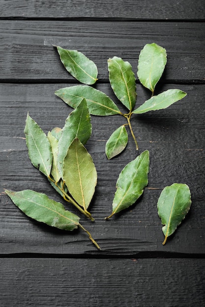 Feuille de laurier vert et frais sur fond de table en bois noir