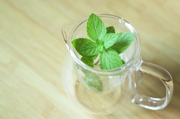 Feuille de menthe fraîche dans un bocal en verre pour faire du thé à la menthe chaud à la maison pour une boisson relaxante saine dans la vie quotidienne pour de bons soins de santé