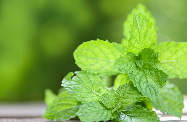 Feuille de menthe poivrée - Feuilles de menthe fraîche dans une assiette sur un bois