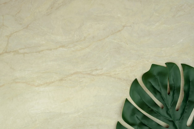 Feuille de Monstera sur marbre marron mat vide