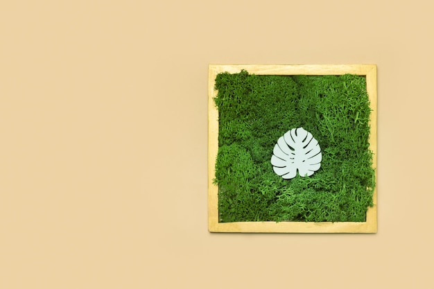 Feuille de monstera tropical en bois blanc sur fond de mousse verte dans un cadre doré