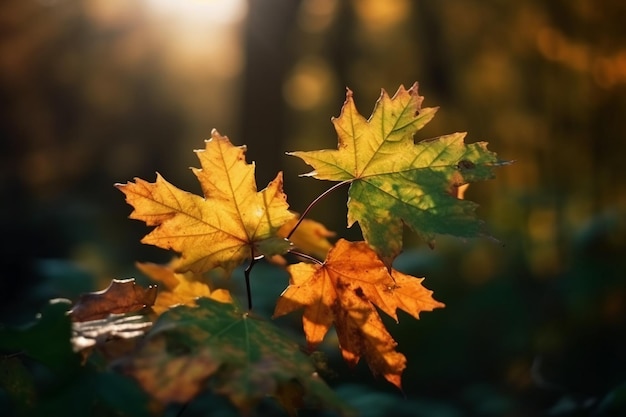 Une feuille avec le mot automne dessus