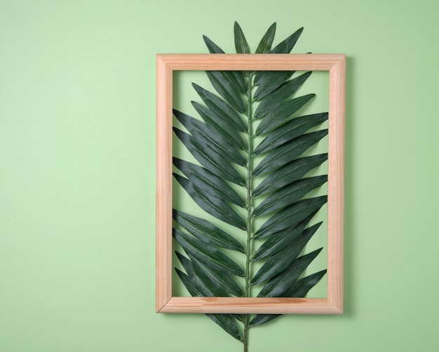 Feuille de palmier et cadre en bois sur fond vert. Vue de dessus