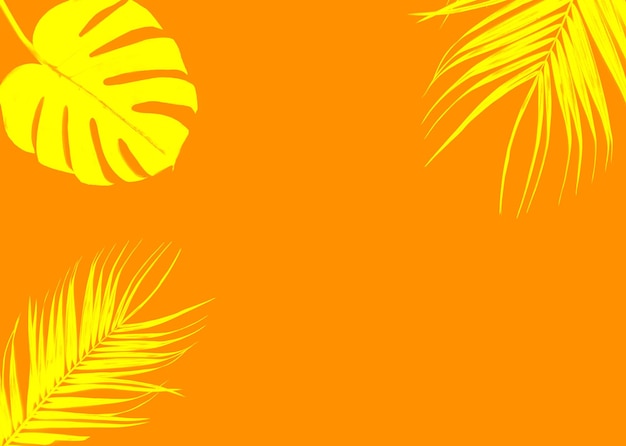 Feuille de palmier exotique sur fond jaune