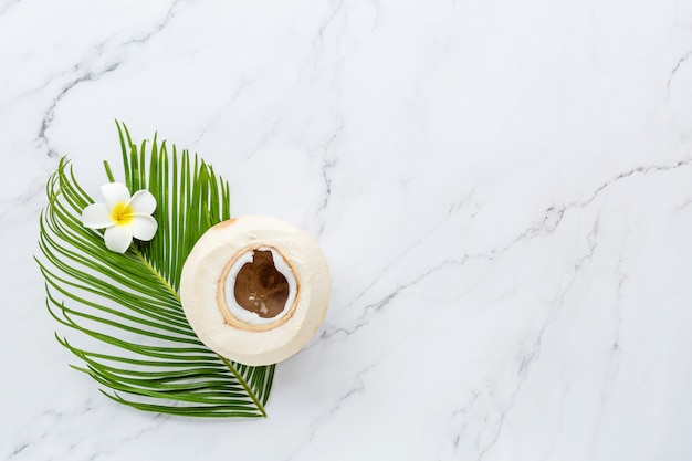 Feuille De Palmier, Fleur Et Noix De Coco Sur Marbre Blanc