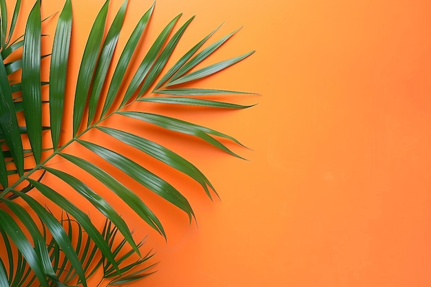 Feuille de palmier tropical sur un fond orange d'été