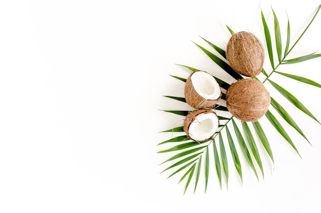 Feuille de palmier vert tropical et noix de coco fissurée sur fond blanc Concept nature vue de dessus à plat