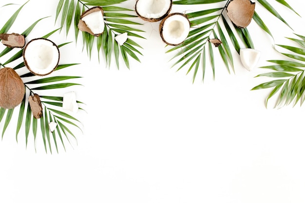 Photo feuille de palmier vert tropical et noix de coco fissurée sur fond blanc concept nature vue de dessus à plat