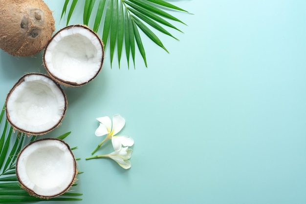 Feuille de palmier vert tropical et noix de coco fissurée sur fond vert