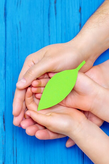 Feuille de papier vert dans les mains de l'adulte et de l'enfant.